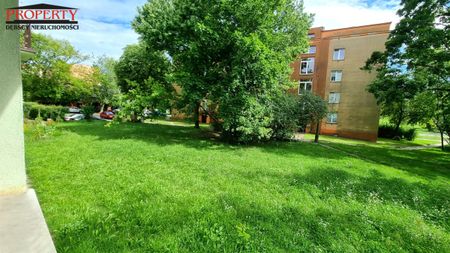 Łódź, Bałuty, Doły, WOJSKA POLSKIEGO/HARCERSKA - Photo 3