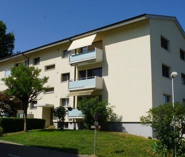 3 Zimmer, 63 m², EG - Foto 1