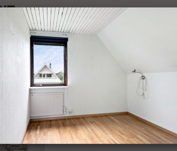 Kringelhejdevägen, Falsterbo - Foto 4