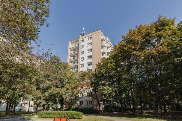 Warszawa Bielany, Mieszkanie na Wynajem - Фото 1