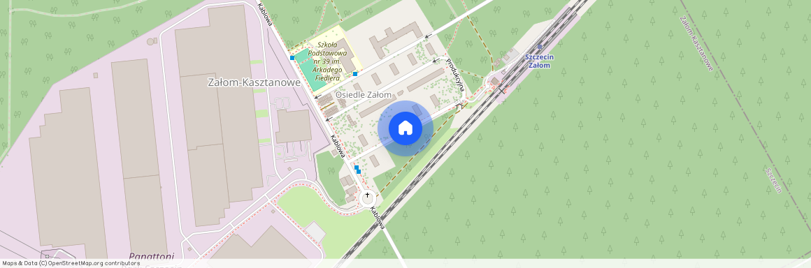 ul. Produkcyjna, Załom-Kasztanowe, Prawobrzeże, Szczecin, zachodniopomorskie