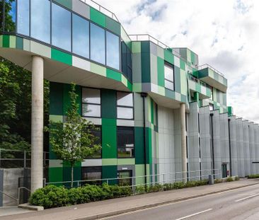 Studio to rent - Photo 6