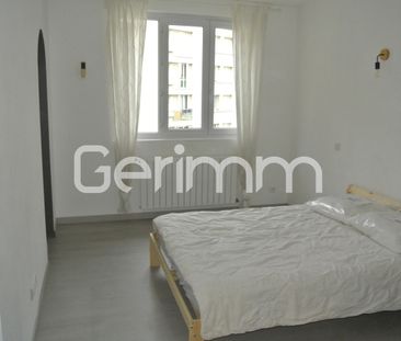 LOCATION T2 MEUBLE 57.90M² - SAINT MARTIN LE VINOUX - Photo 1
