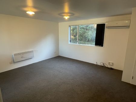 113B York Place - 2025, Dunedin Central, Dunedin City - Photo 3