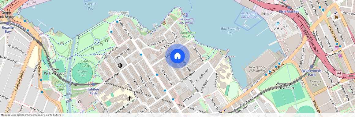 25 Sheehy Street, NSW 2037, Glebe