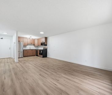 1 Bedroom - Photo 6