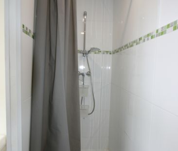 Location Appartement 2 pièces 46m² ANNECY 74000 - Photo 5