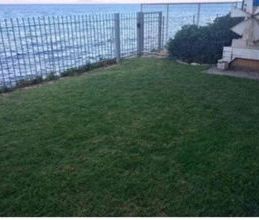 Μονοκατοικία για ενοικίαση - Νέα Μάκρη, - Photo 4