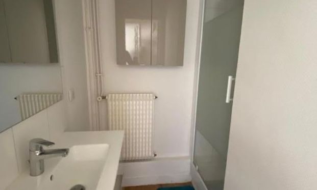 Location Appartement 3 pièces LIMOGES (87000) - Photo 1