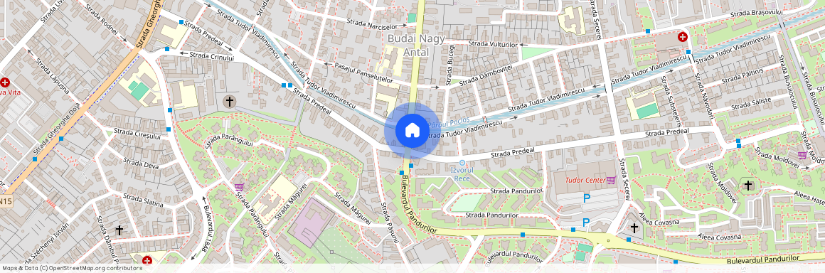 Mures, Targu Mures