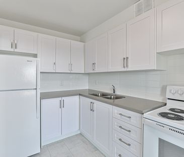 1 Bedroom Large - Photo 2