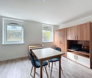 Appartement meublé 1 pièce 24.92 m² - Photo 4