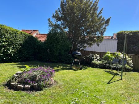 Repslagargatan, Landskrona - Photo 5