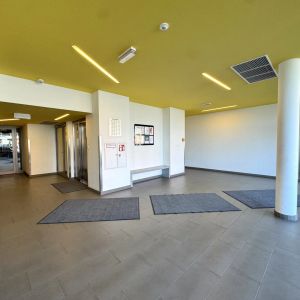 Charmante 2-Zimmer Wohnung mit viel Licht durch Südseite - ab 01.01.2026 - Foto 2