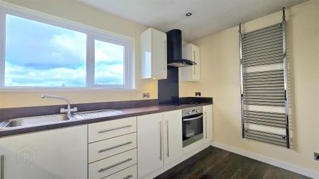 31 Spence Crescent, Cullybackey, Ballymena, BT42 1BR - Photo 5
