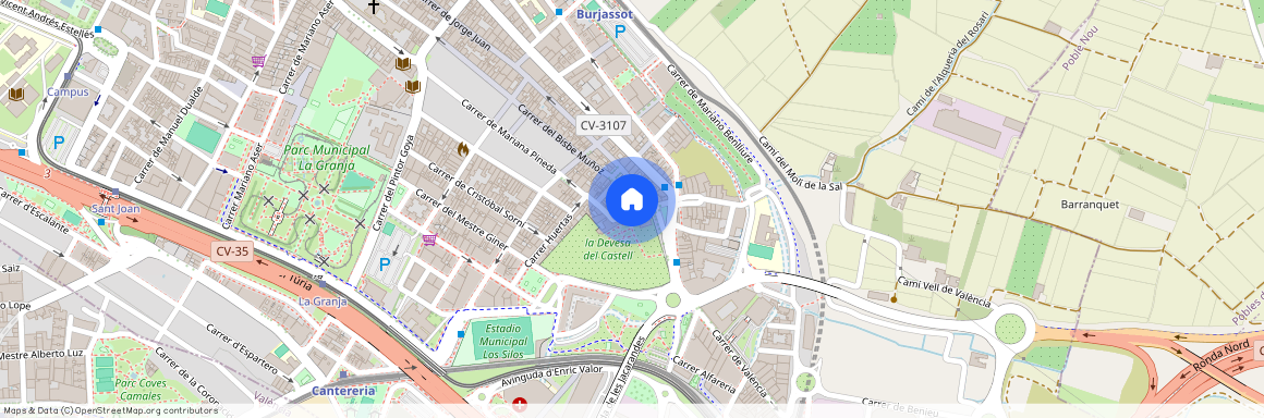 Carrer de Carolina Álvarez, Burjassot, Valencian Community 46100