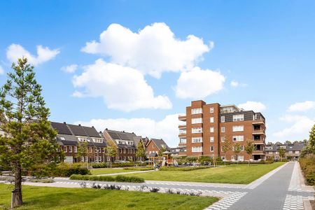 Westhove 31 - Photo 5