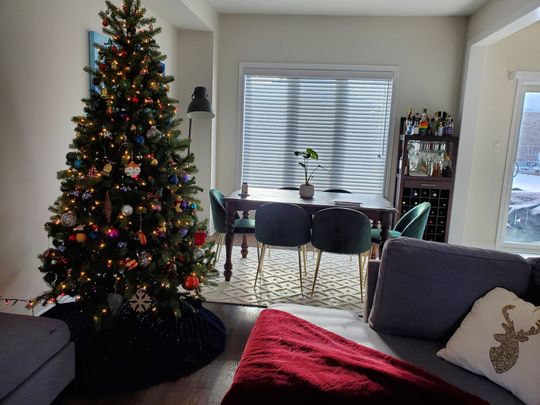 For Lease - 43 Furniss Street, Brock, Ontario - Photo 1