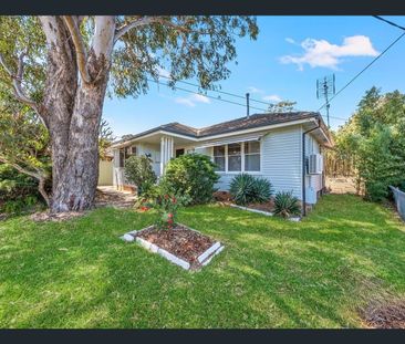 Renovated Family Home in Convenient location - Photo 6