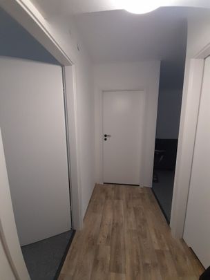 Mieszkanie 3 pokoje 41 m² Wrocław-Stare Miasto - Photo 1