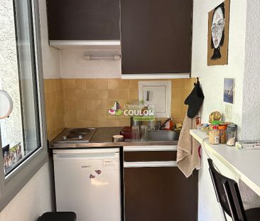 Location Appartement 1 pièce 23m² - Photo 5