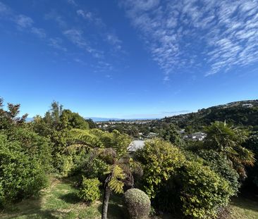 Spectacular Views on Waimea Road - Photo 1