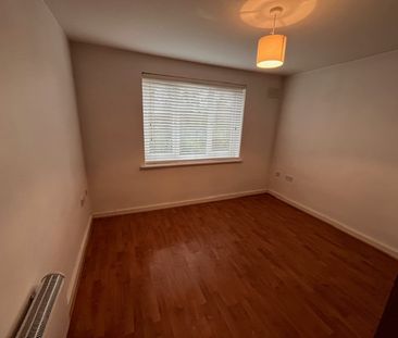 IVES HOUSE – ERCOLANI AVENUE - Photo 3