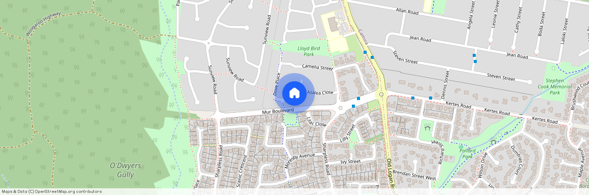 6 Windflower Place, Springfield QLD 4300