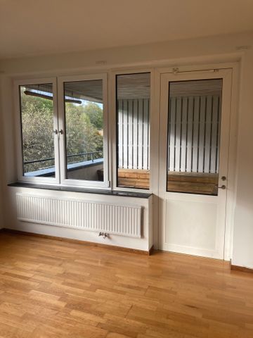 Danska Vägen, Falköping - Foto 3