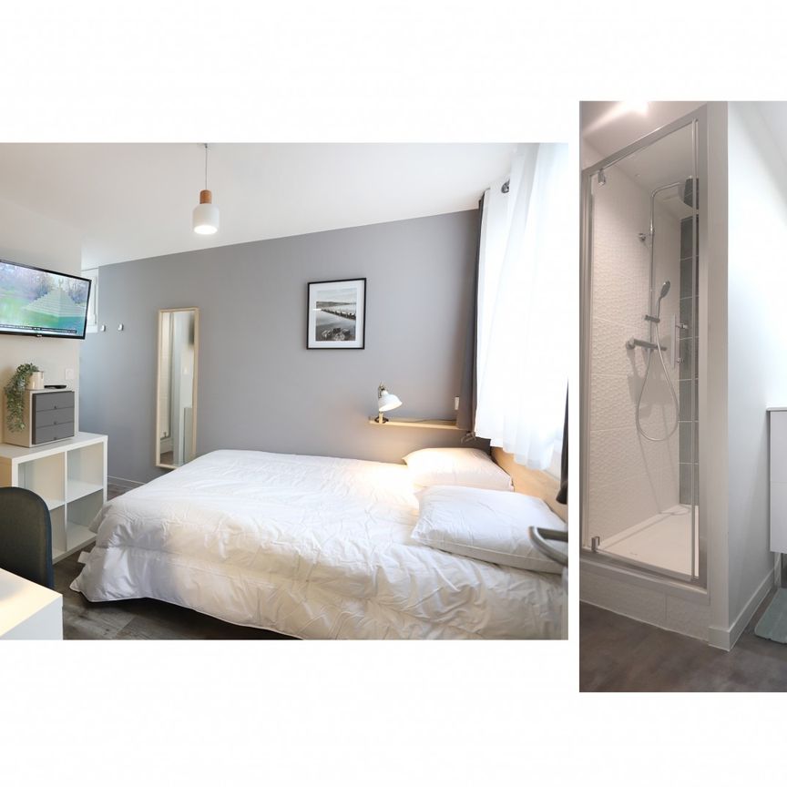 MONTAIGNE Roommate 4 Bedrooms at Rennes - Photo 2