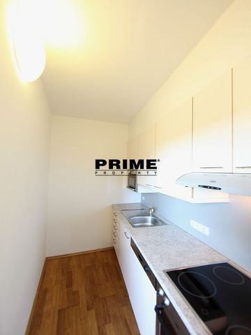 Pronájem bytu 5+1 a více 168 m² - Photo 3