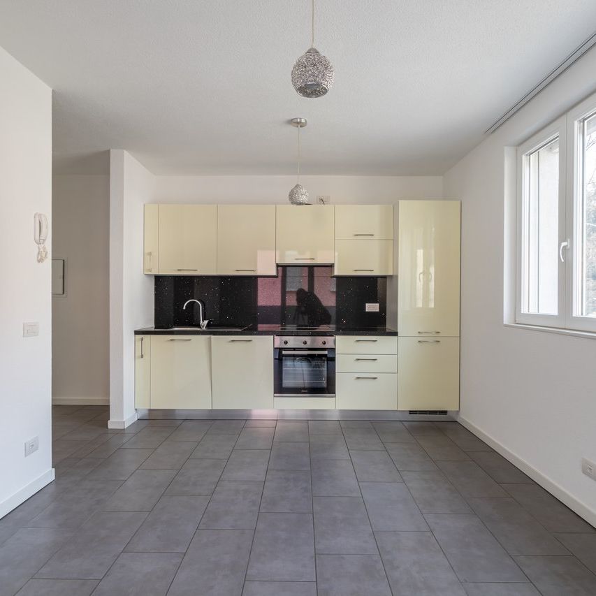 Via San Gottardo 24, 6500, Bellinzona - Photo 1