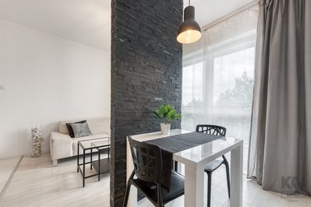 Łódź, Polesie, Pienista - Zdjęcie 2