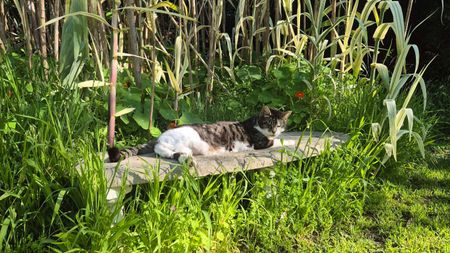 North Perth - Photo 5