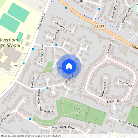 Maple Drive, Taverham, NR8 6TF