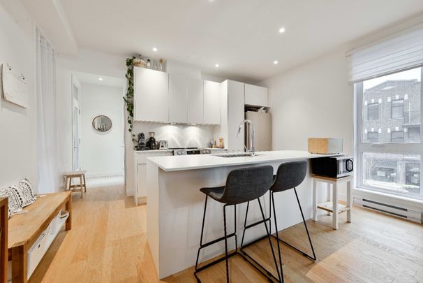 Appartement à louer - Montréal (Rosemont/La Petite-Patrie) (La Petite-Patrie) - Photo 1