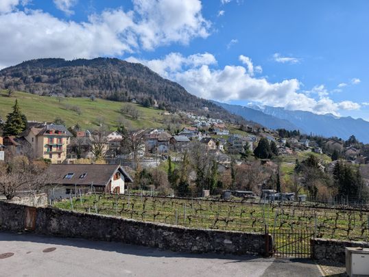 Magnifique appartement de 4.5 pièces au 1er étage au coeur des vignes - Foto 1