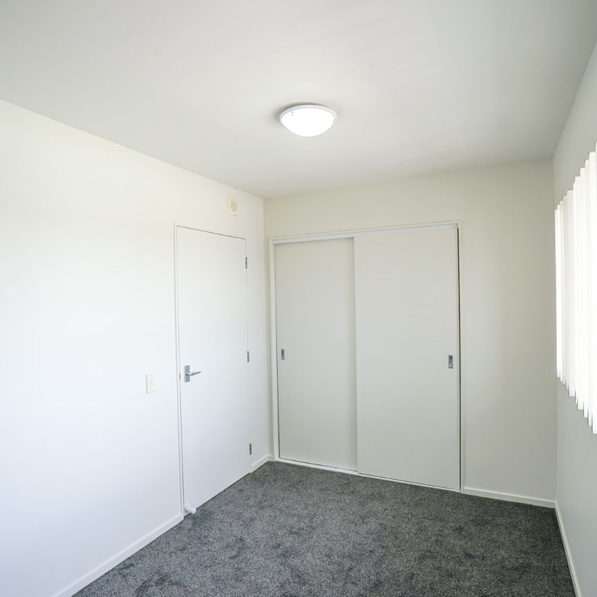 Freshly Updated in Prime Botany Town Location - Photo 1