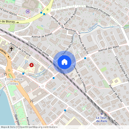 Avenue des Alpes 61, 1814, La Tour-De-Peilz