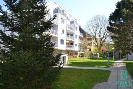 Top Terrassenwohung in Grünlage - Hietzinger Cottage - Foto 3