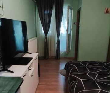 Garsoniera, Alexandru cel Bun, parter - Fotografie 2