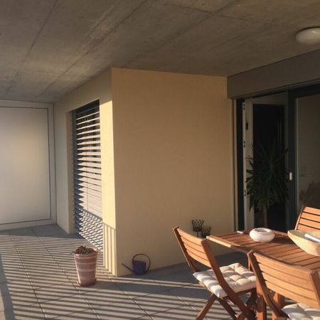 Erzenbergstrasse 51, Liestal - Foto 4