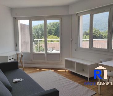 Location Appartement 1 pièce 29m² GRENOBLE 38100 - Photo 3