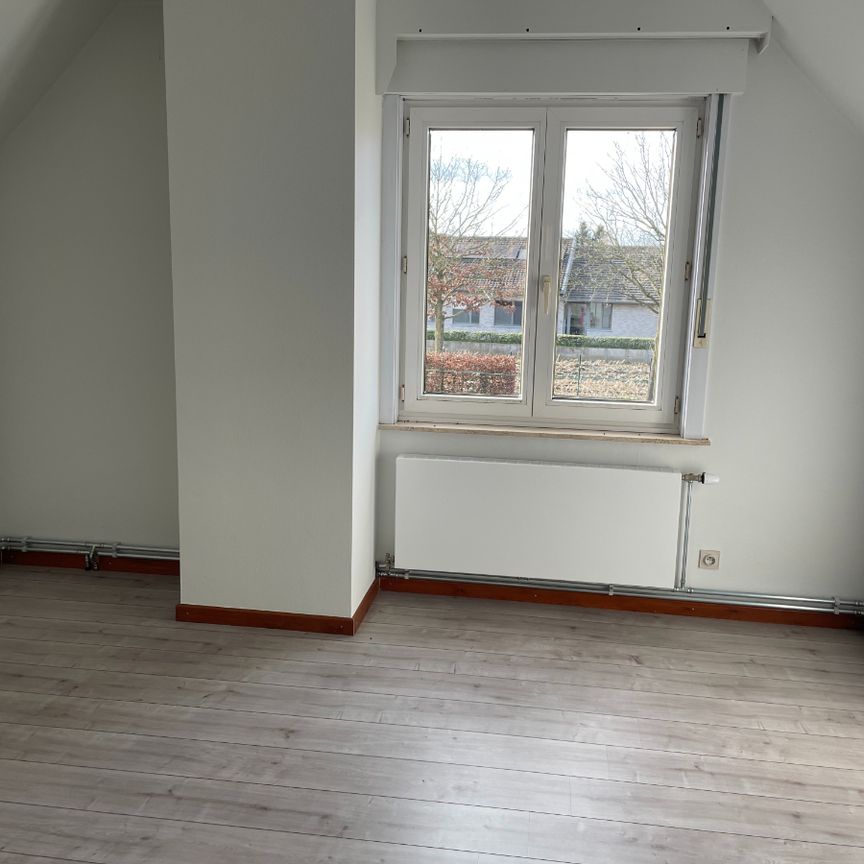 VILLA + kleine weide - Photo 1