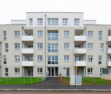 HOLLABRUNN XV/2 - Photo 6