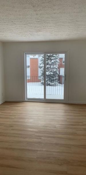 À LOUER – 4 1/2 près des Galeries de Granby. Mai, juin ou juillet - Photo 1