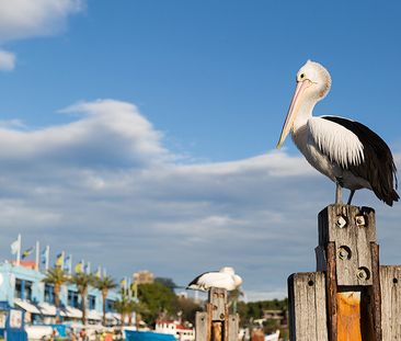 6 Elger Street, Glebe NSW 2037 - Apartment For Rent | Domain - Photo 6