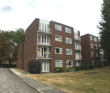 Two Bedroom Newly Redecorated Apartment for Rent in Heart of Beckenham - Photo 3