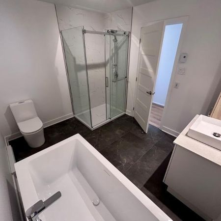 3 CH - 1 SDB - Granby - $1,625 /mo - Photo 4