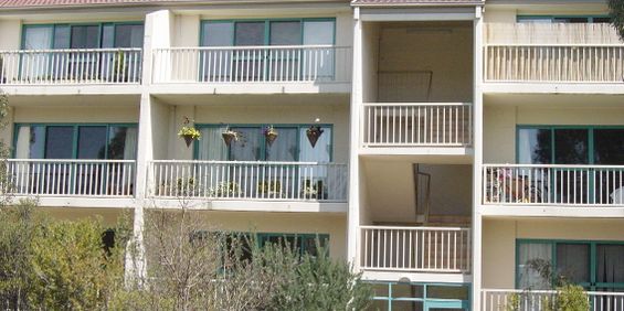 53/55 McMillan Crescent, Griffith ACT 2603 - Apartment For Rent | Domain - Photo 3